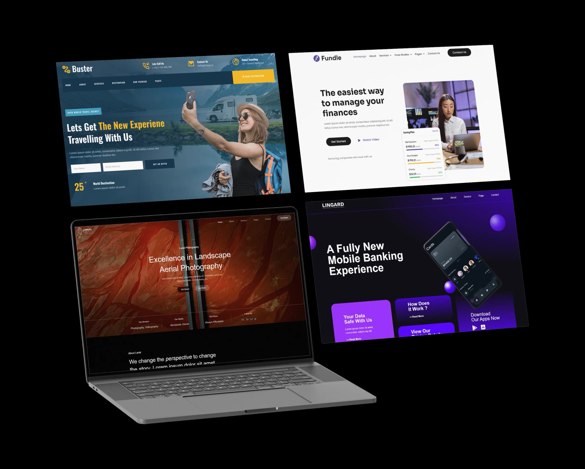 Professional web design showcase