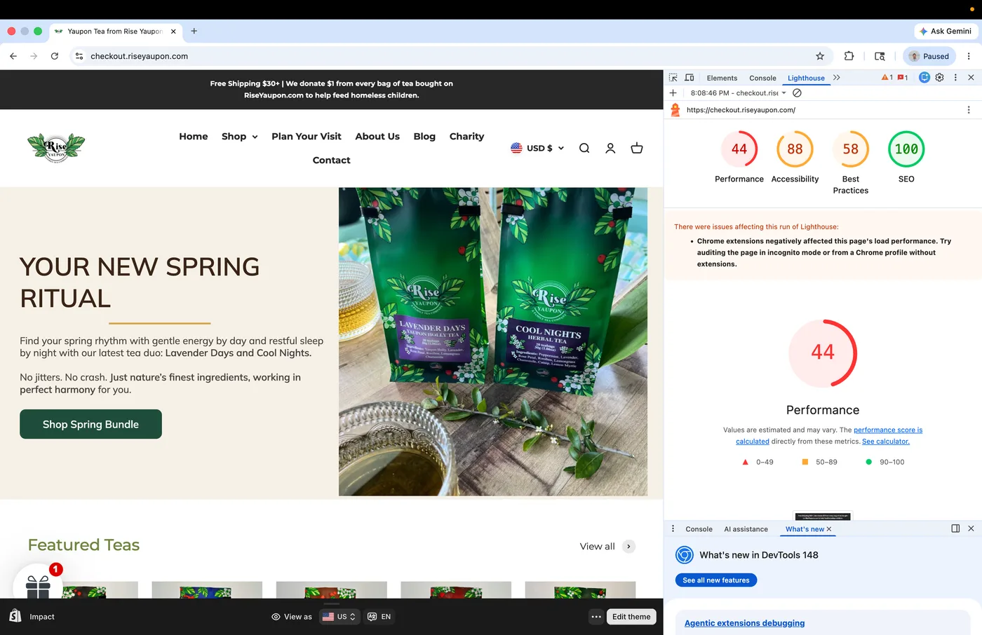 Old Shopify theme — Lighthouse mobile report