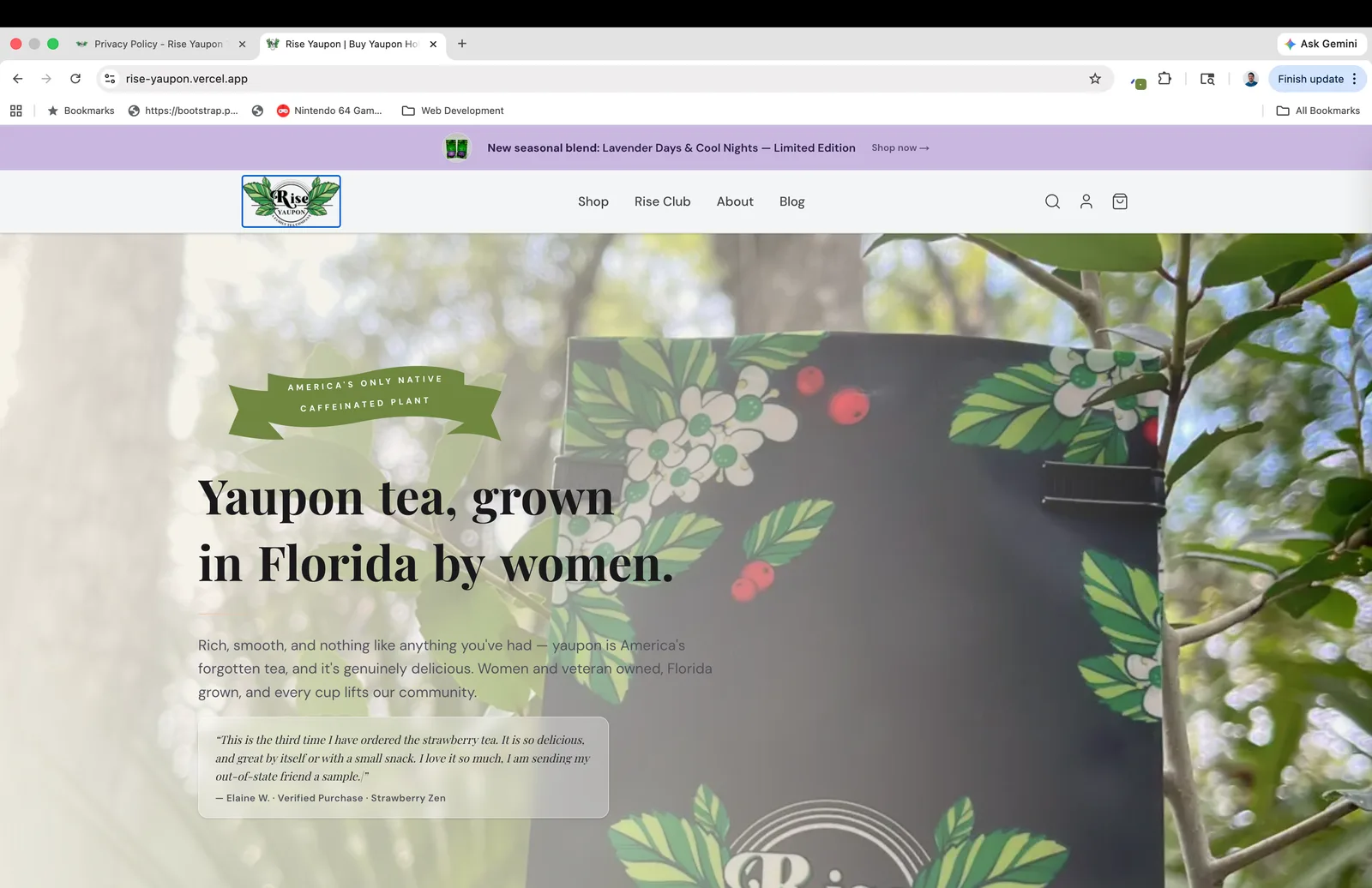 Hero — new Next.js build